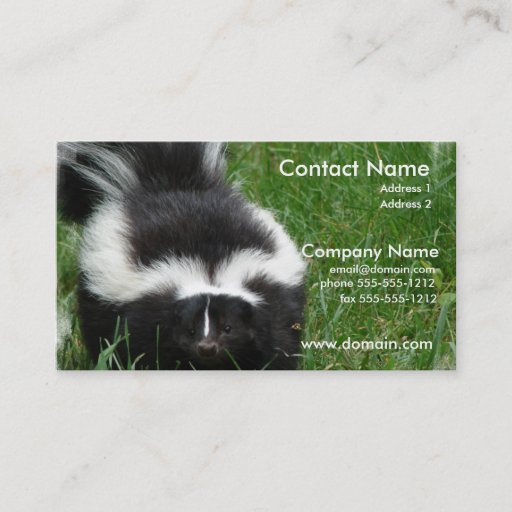 Customizable Skunk Photo Business Card