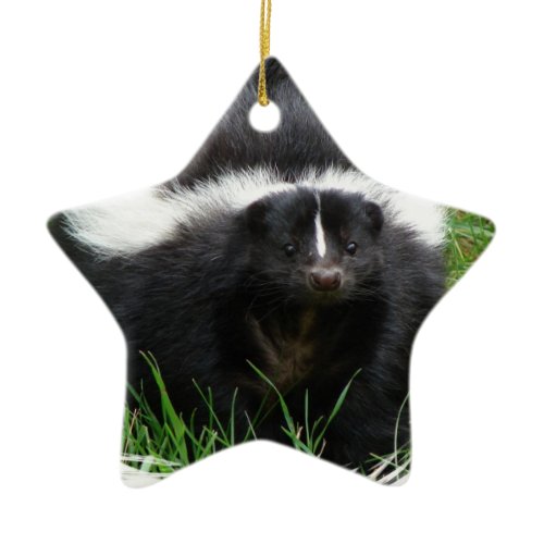 Skunk Photo Ornament