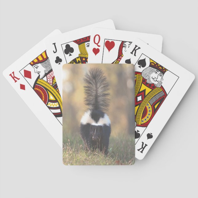 Skunk Poker Cards (Back)