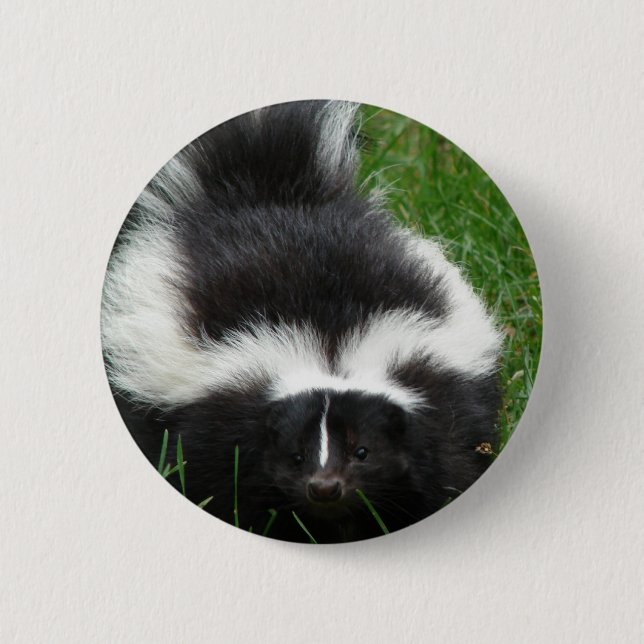Skunk Round Pin (Front)