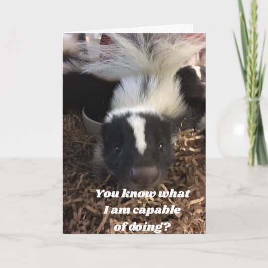 **SKUNK SAY YOU BETTER HAVE A HAPPY** BIRTHDAY CARD | Zazzle.com