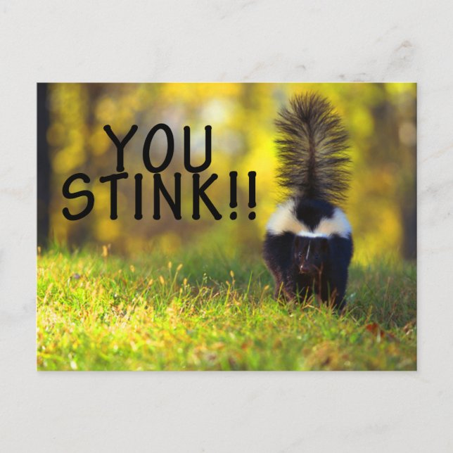 Skunk You Stink Postcard (Front)