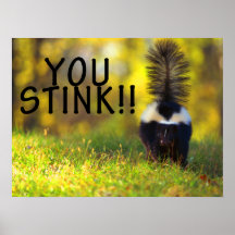 Skunk You Stink