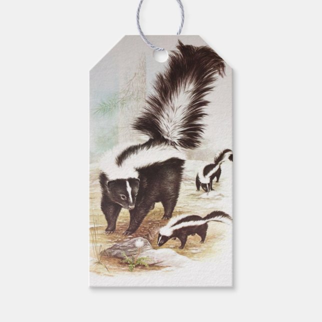 Skunks In The Snow Gift Tags (Front)