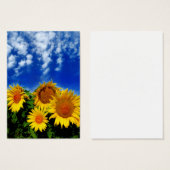 Sky and bloom, profile cards (Front & Back)