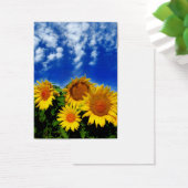Sky and bloom, profile cards (Desk)