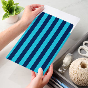 Sky Blue and Navy Stripes Envelope Mailers