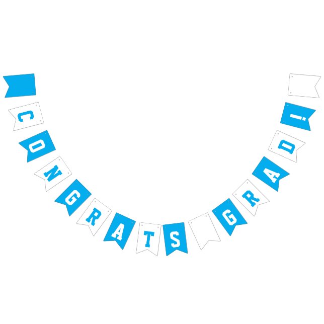 Sky Blue and White School Colors Graduation Bunting Flags (All)