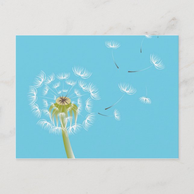 Sky Blue dandelion floral nature Postcard (Front)
