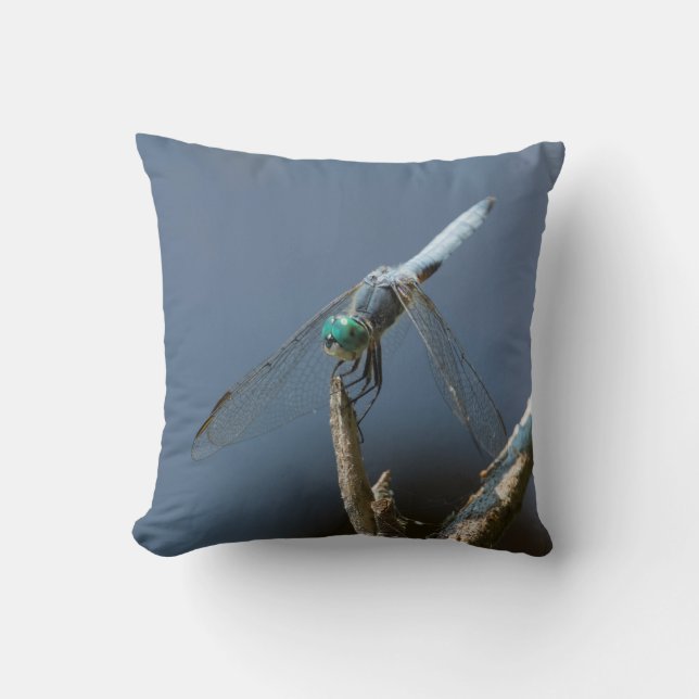Sky blue dragonfly throw pillow (Front)