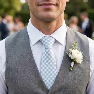 Sky Blue Gingham Neck Tie