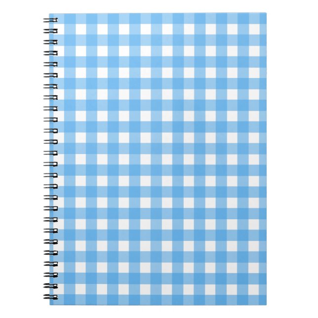Sky blue gingham notebook (Front)
