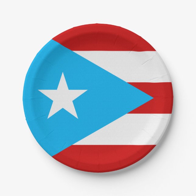 Sky Blue Puerto Rico Flag Napkin Paper Plates (Front)