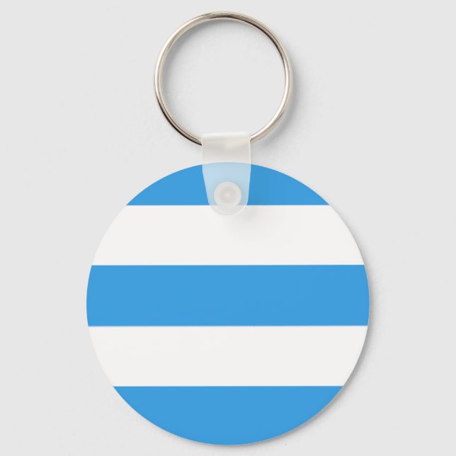 Sky Blue Striped Pattern Keychain (Front)