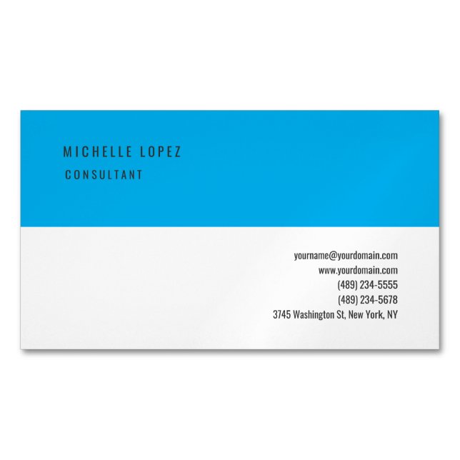 Sky Blue White Classical Elegant Plain Business Card Magnet (Front)