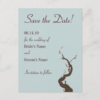 Sky Cherry Blossom Save The Date Announcement Postcard by designaline at Zazzle