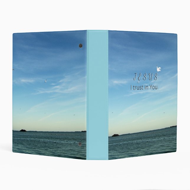 Sky Dove Beside Jesus Faith Artwork Mini Binder (Background)