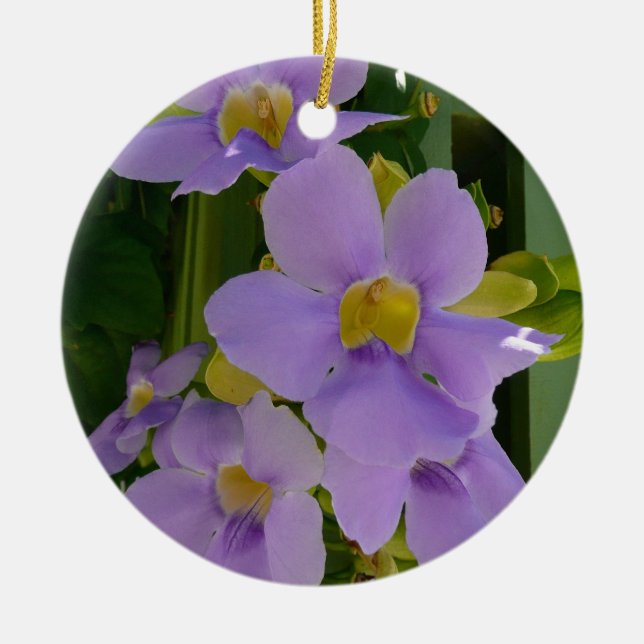 Sky Flower Vine Tropical Purple Floral Ceramic Ornament (Front)
