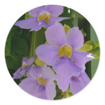 Sky Flower Vine Tropical Purple Floral Classic Round Sticker