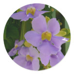 Sky Flower Vine Tropical Purple Floral Classic Round Sticker