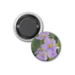 Sky Flower Vine Tropical Purple Floral Magnet