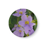 Sky Flower Vine Tropical Purple Floral Magnet