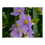 Sky Flower Vine Tropical Purple Floral Poster