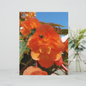 sky, flowers and bee (Standing Front)