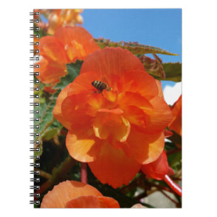 sky, flowers and bee notebook