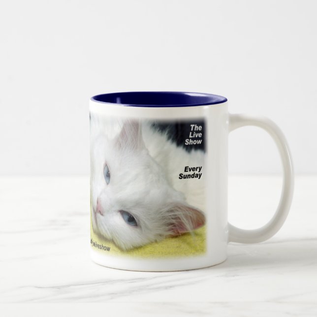 Sky.fm Smooth Jazz Live Show Mug (Right)