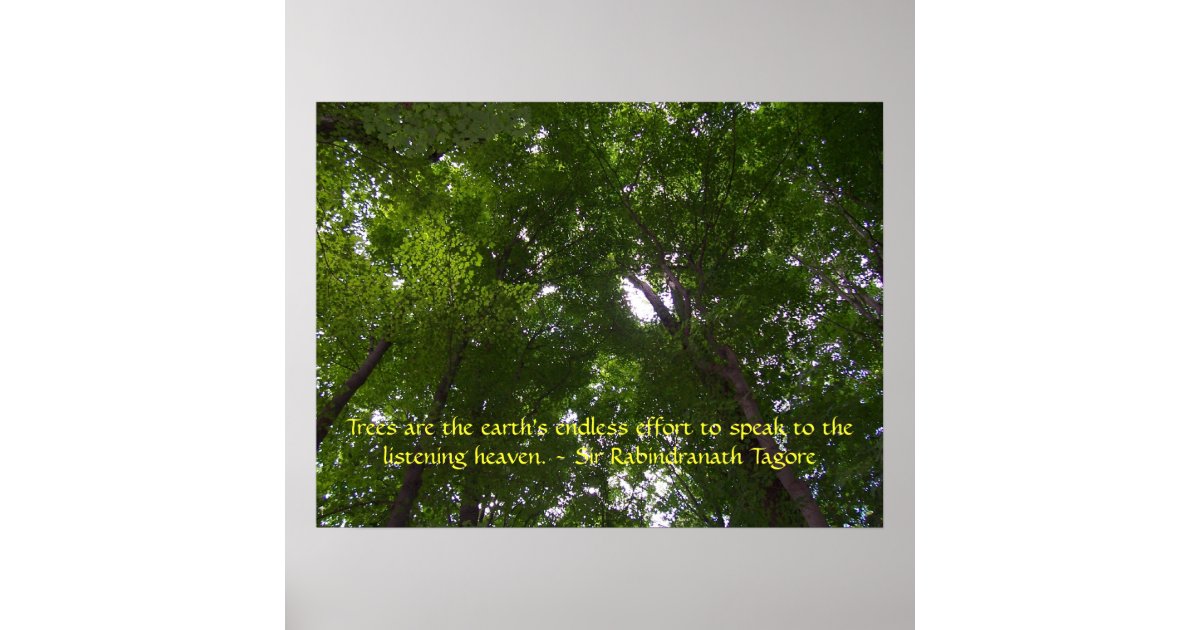 Sky Full of Trees Poster | Zazzle