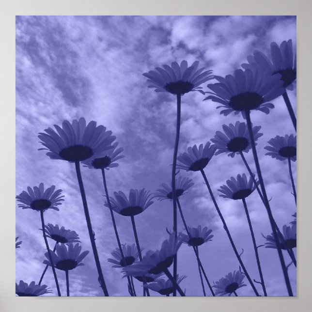 Sky Gazers Poster (Front)