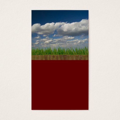 Customizable sky, grass, bricks business card template