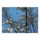 sky in spring (Front Horizontal)