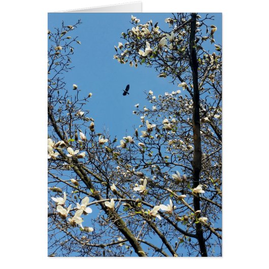 sky in spring cards (Front)