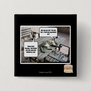 Sky is Falling Pinback Button