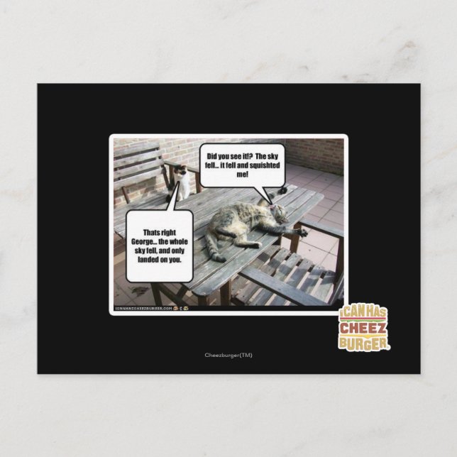 Sky is Falling Postcard (Front)