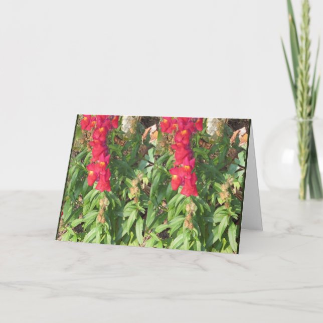 SKY Landscape Water Flowerrs Lake Pond GIFTS fun Holiday Card (Front)