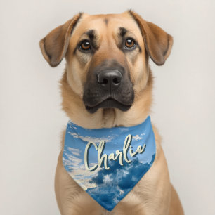Sky Meeting Ocean Powder Blue Pet Bandana Collar