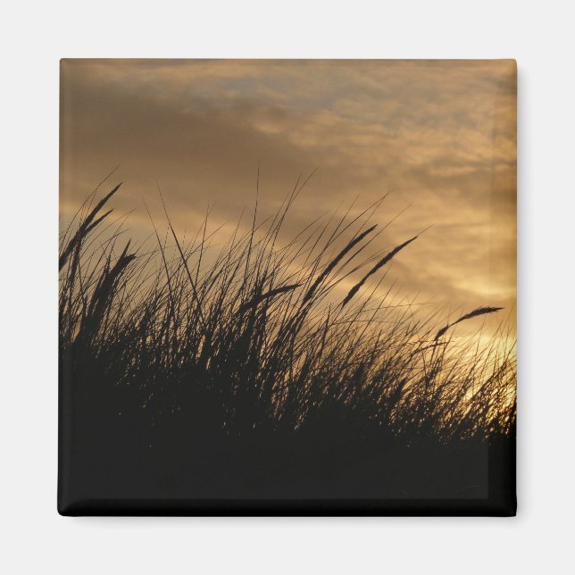 sky of gold magnet (Front)