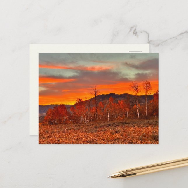 Sky on Fire Postcard (Front/Back In Situ)