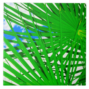 Sky Palm Ceramic Tile