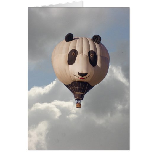 SKY PANDA CARDS (Front)