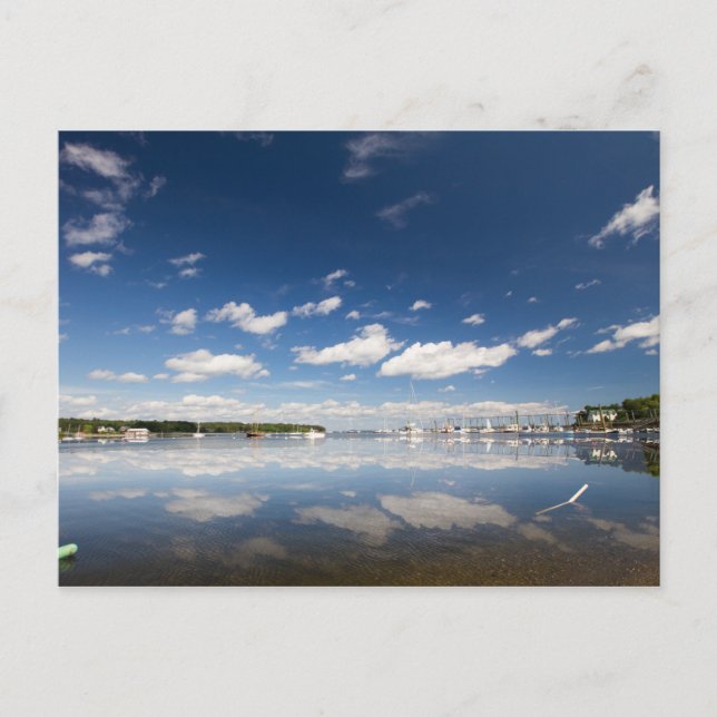 Sky Reflection at the Harbor of Belfast, Maine Postcard (Front)