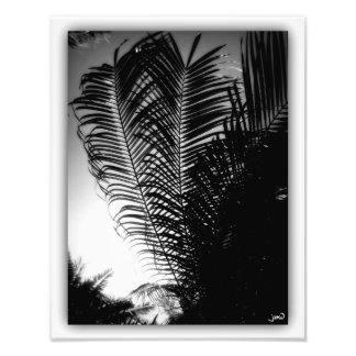 Sky Scrapers Photo Print