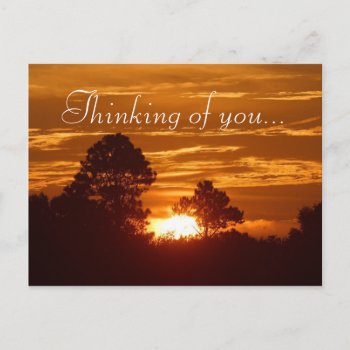 Sky View Postcard by Honeysuckle_Sweet at Zazzle