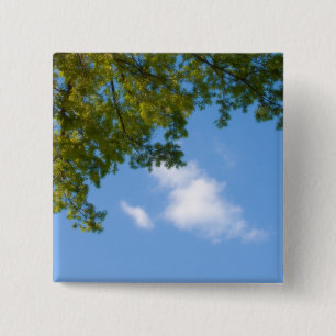 sky view with tree top button