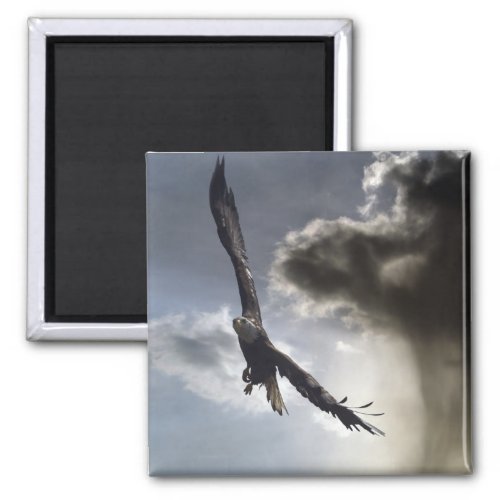 Sky Warrior Bald Eagle Gifts Magnet