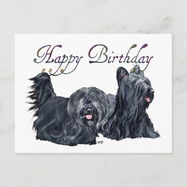 Skye Terrier Birthday Cards (Front)