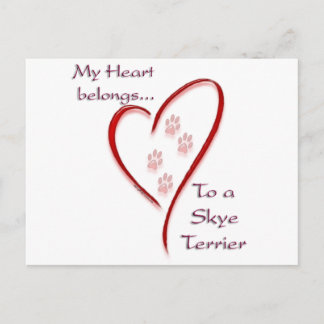Skye Terrier Heart Belongs Postcard